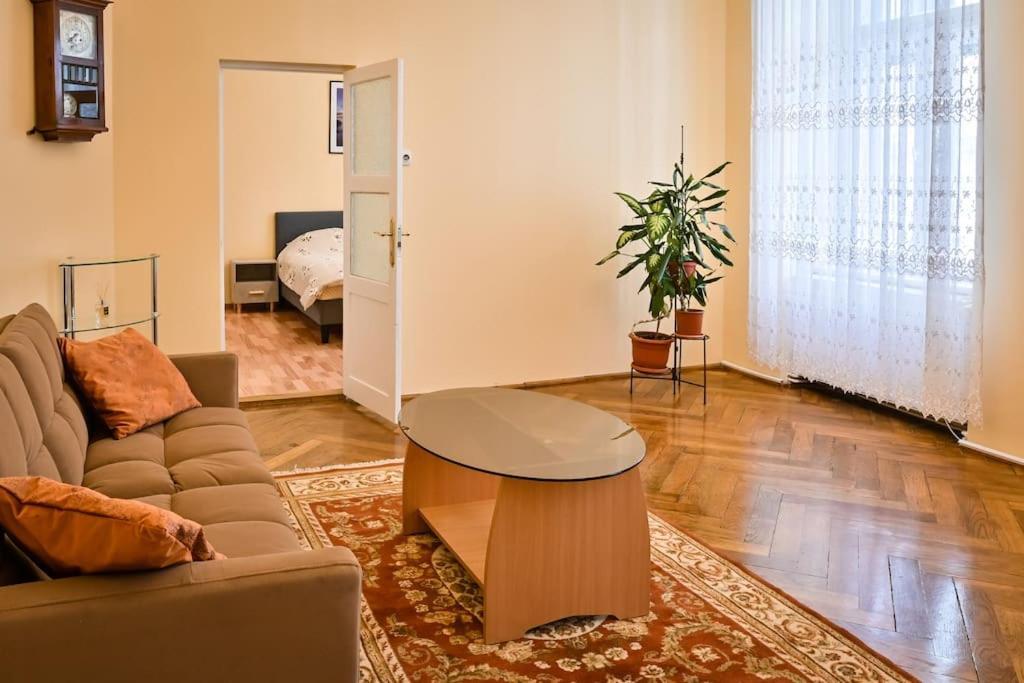 Casa Max Apartment Timişoara Exterior foto